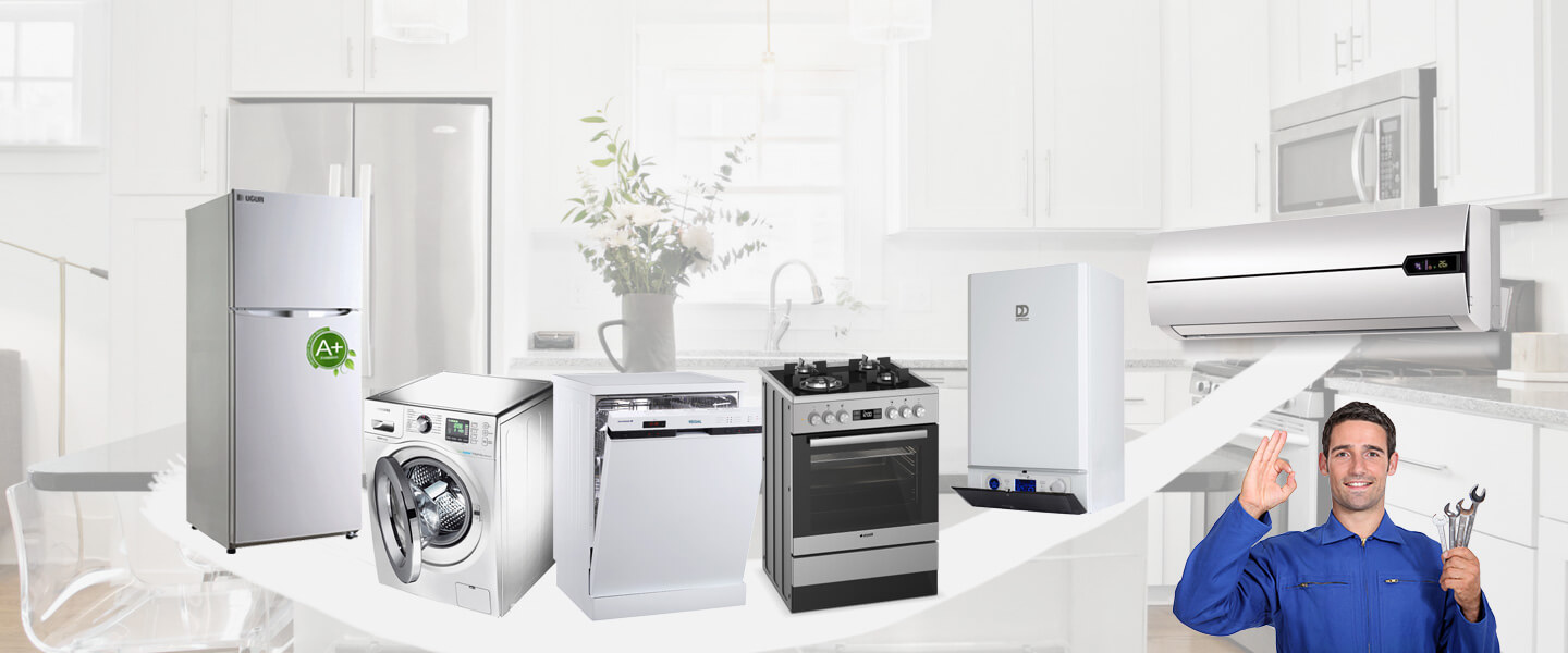Eflani Electrolux Servisi